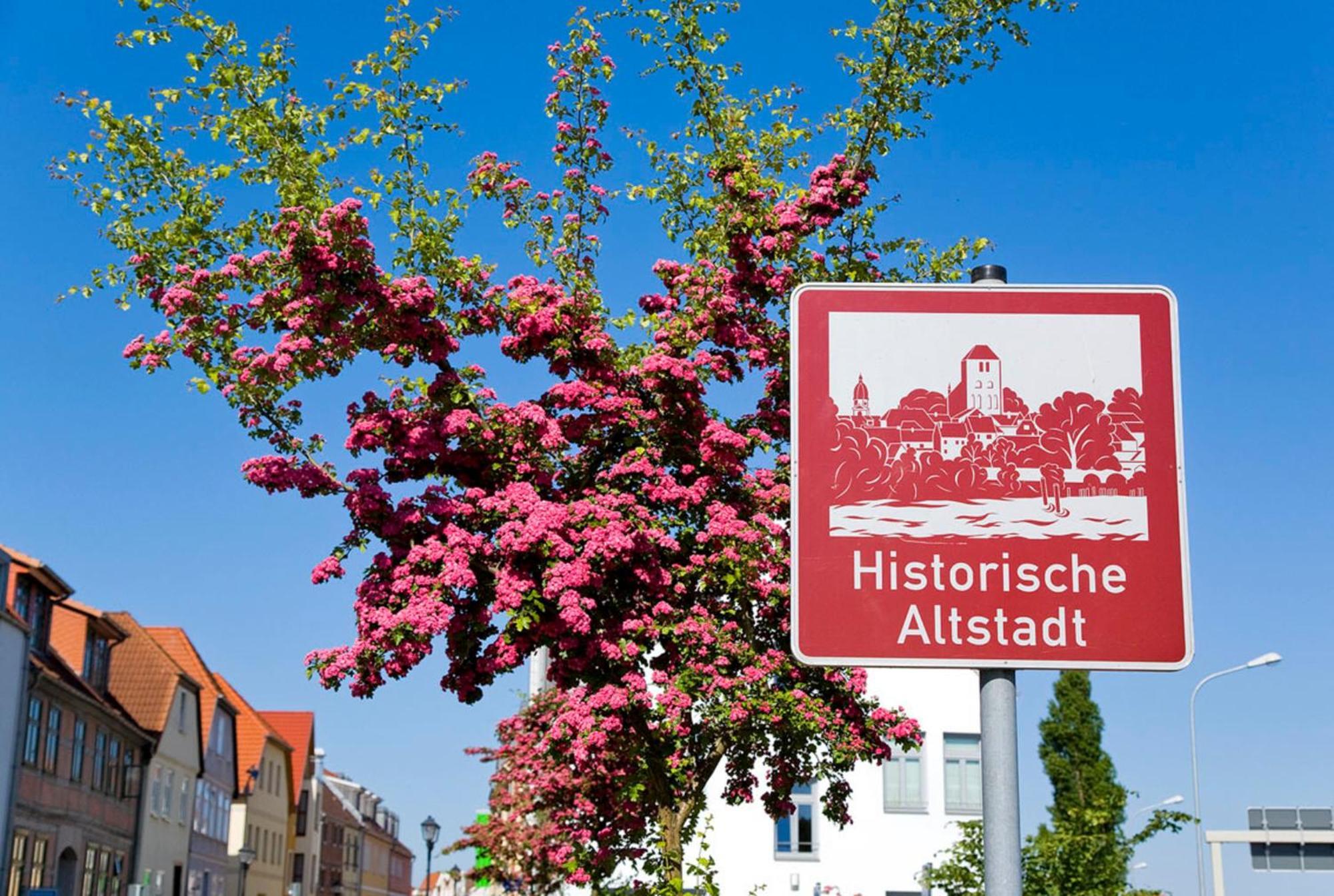 Ferienwohnung Am Muehlenberg Waren  Bagian luar foto